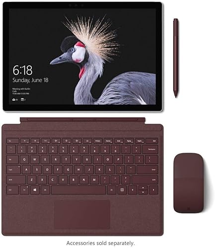 Vista 13 de Microsoft Surface Pro