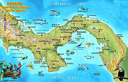 Panama Pacific Coral Reef Creatures Guide Franko Maps Laminated Fish Card