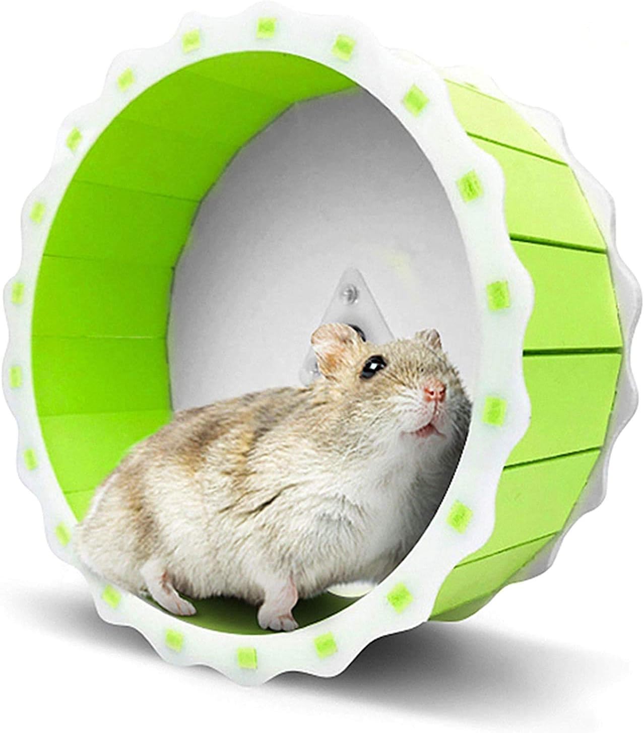SunGrow Dwarf Hamster Spinner Wheel, 6.7” Diameter, Durable Green and White Plastic