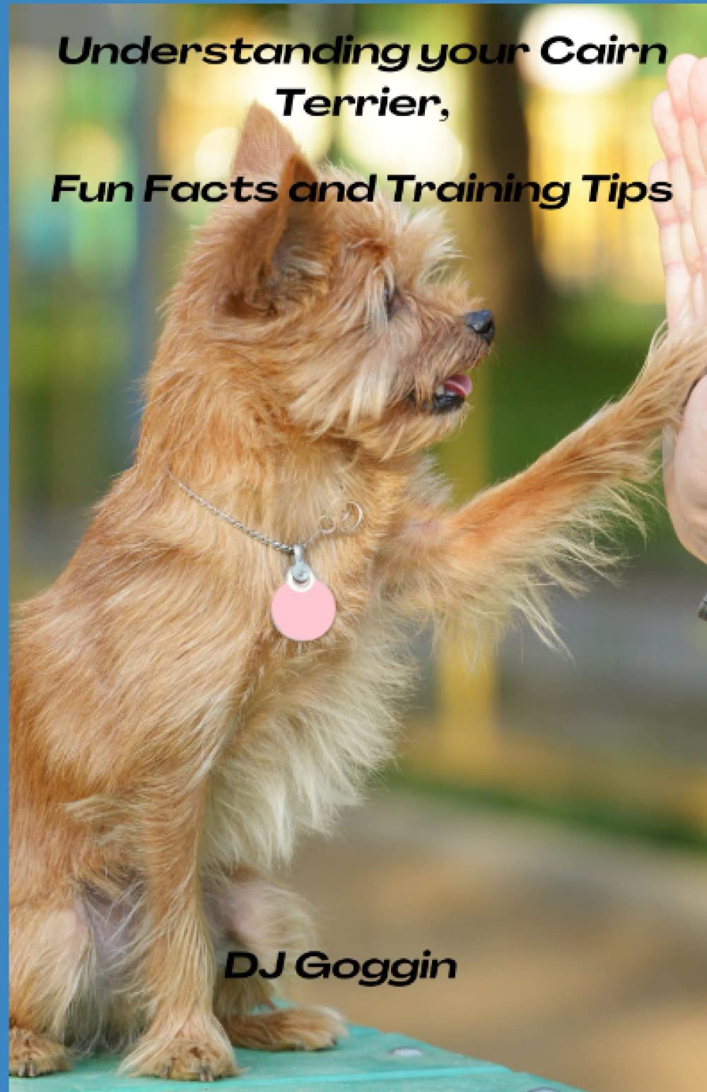 Understanding your Cairn Terrier: Fun facts and Training Tips