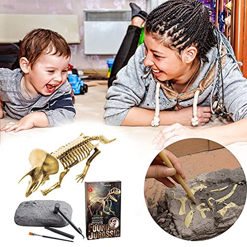 KinAndKen Kits de escavação de dinossauro, fóssil de dinossauro, conjunto de brinquedos arqueológico