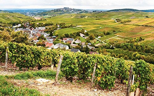 The Sommelier\'s Atlas of Taste: A Field Guide to the Great Wines of Europe