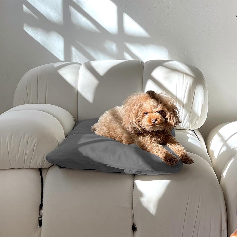 review Diggs Pillo Dog Bed; Durable, Cozy, Versatile, Best for Puppies Nesting & Burrowing, Small