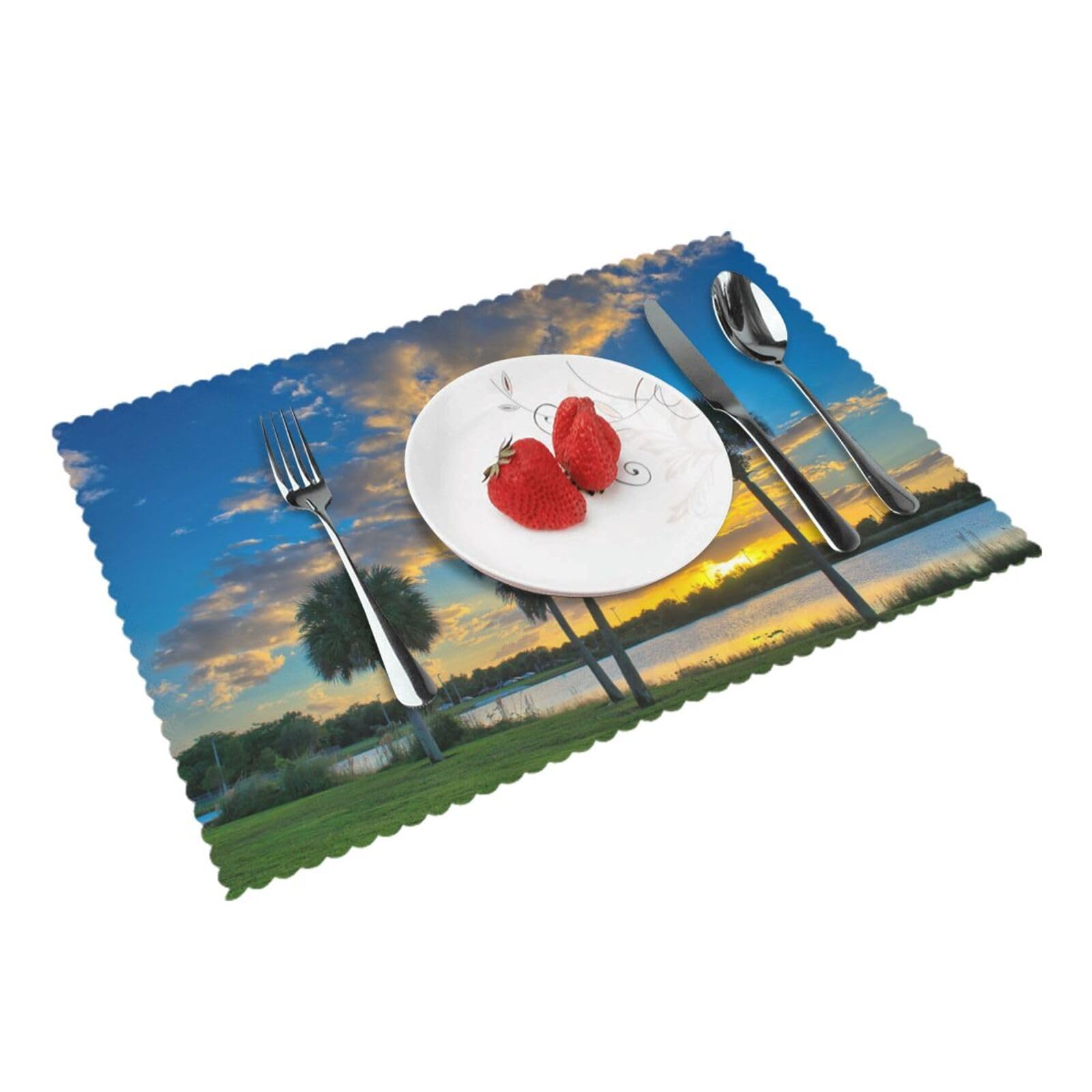 Sunset Over Lake Broward County Printed Placemats Set of 4 PCS Washable Placemat for Kitchen Table Heat-resistant Table Mats 45x30 CM