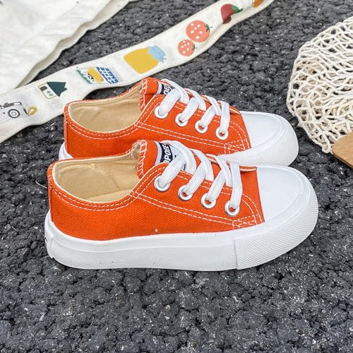 Girls and Boys Low Top Comfortable Canvas Kids Lace up Sneakers4