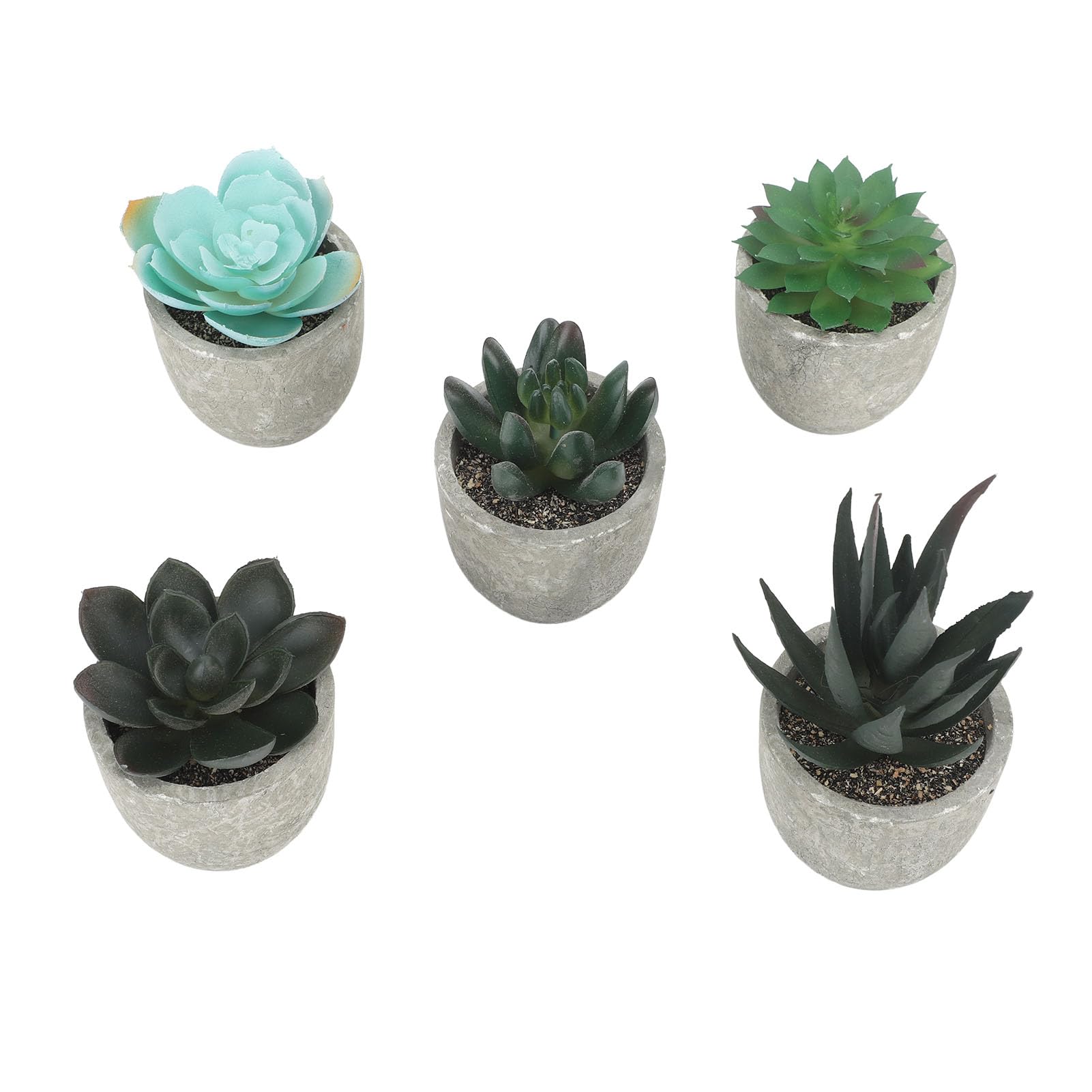 Plantes succulentes artificielles pour décoration de bureau à domicile lot de 5