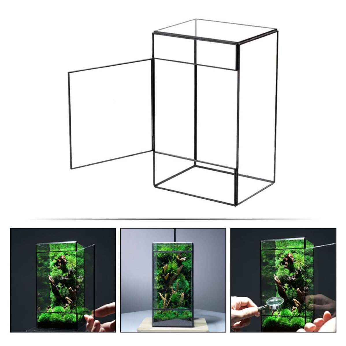 IMIKEYA Kreatives Glas Pflanzenterrarium aus Robustem Glas und Zinn Kleines Terrarium für Sukkulenten und Moos Tischdeko für Büro und Patio Modernes Design