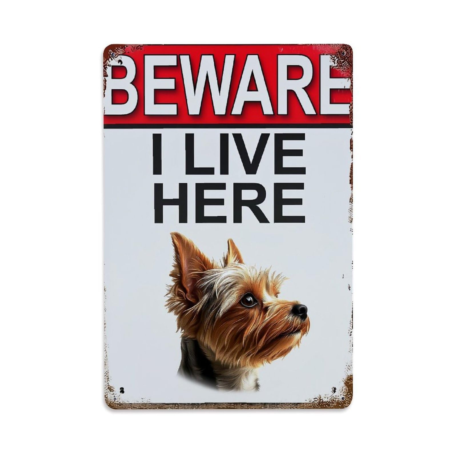 Nestemfo Vintage Beware I Live Here Dog Tin Sign Metal Sign, Living Room,Bar, Home, Bedroom Wall Decor,Retro Metal Poster 8X12 Inches