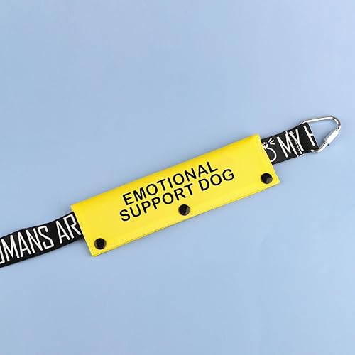 Miniatura 3 de Servicio de terapia con correa para perro, soporte emocional, correa de perro, alerta, parche de identificación colgante, regalo de cumpleaños para