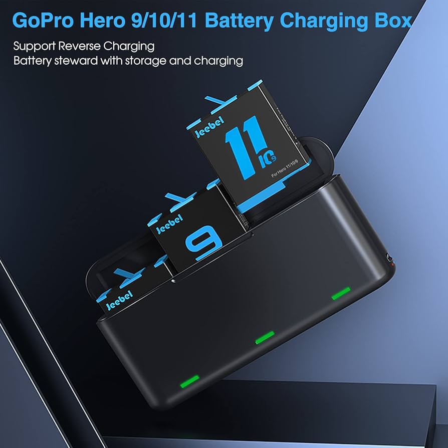 Amazon.com : Battery Charger for GoPro Hero 12/11/10/9