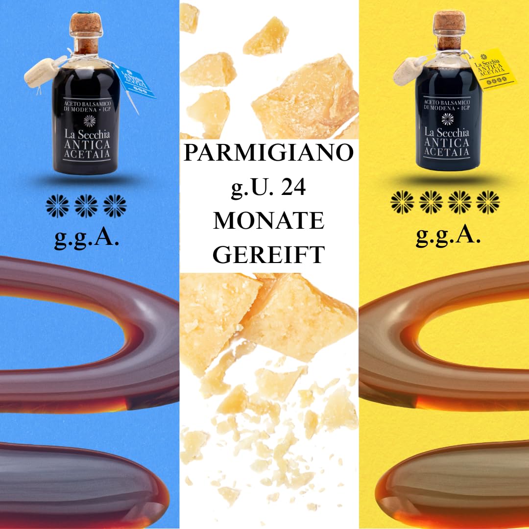 La Secchia – Handgemachter Feinschmecker-Korb, Balsamico-Essig aus Modena g.g.A., Parmigiano Reggiano, Gourmet-Set mit typischen italienischen Spezialitäten, Tasche als Geschenk, 100 % Made in Italy