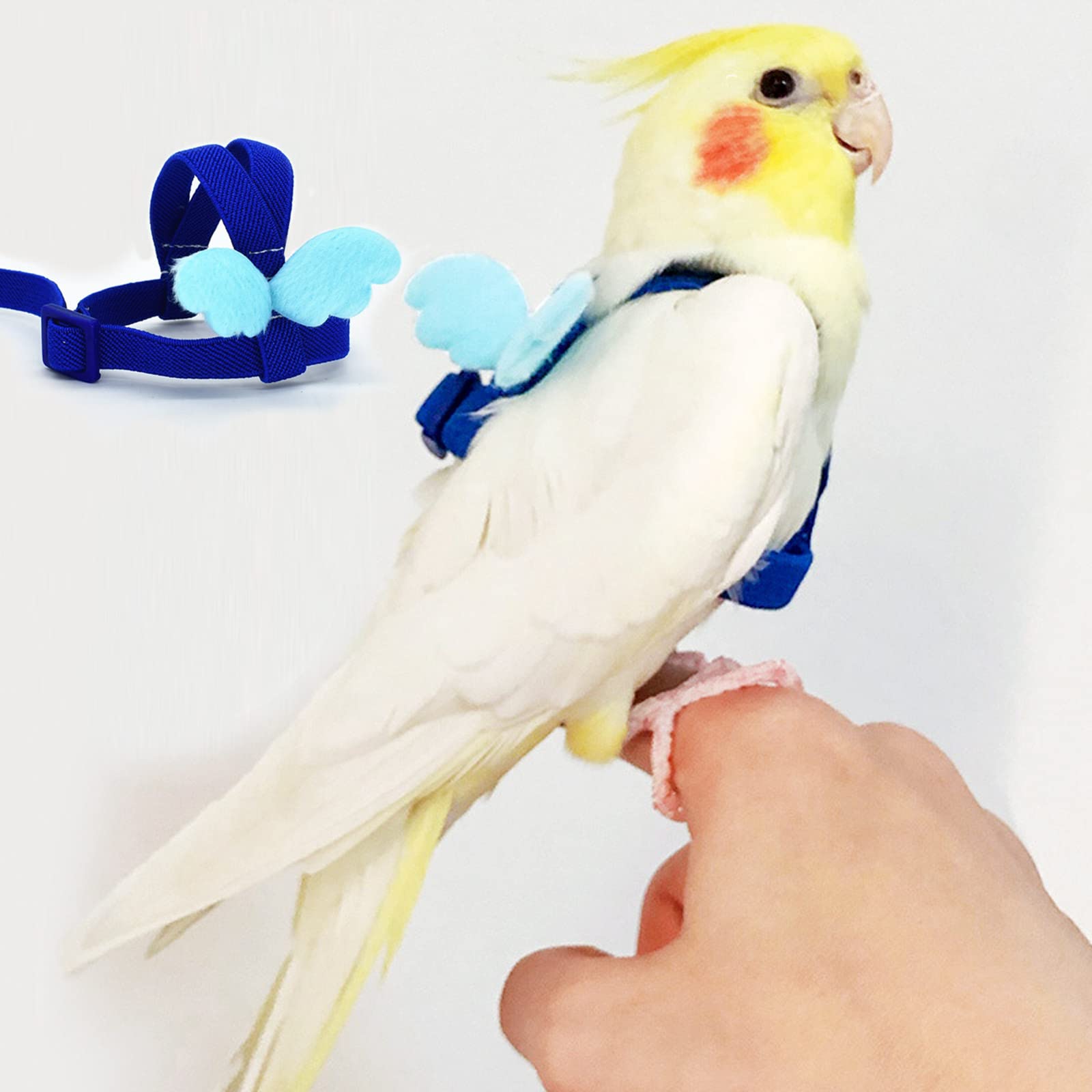 Cockatiel Harness And Leash Bird Flight Leash Kit 118