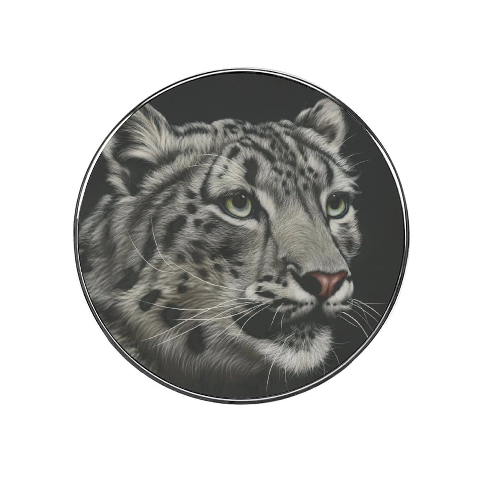 Tiger Magnets For Fridge Kitchen Decoration For Refrigerators Whiteboards