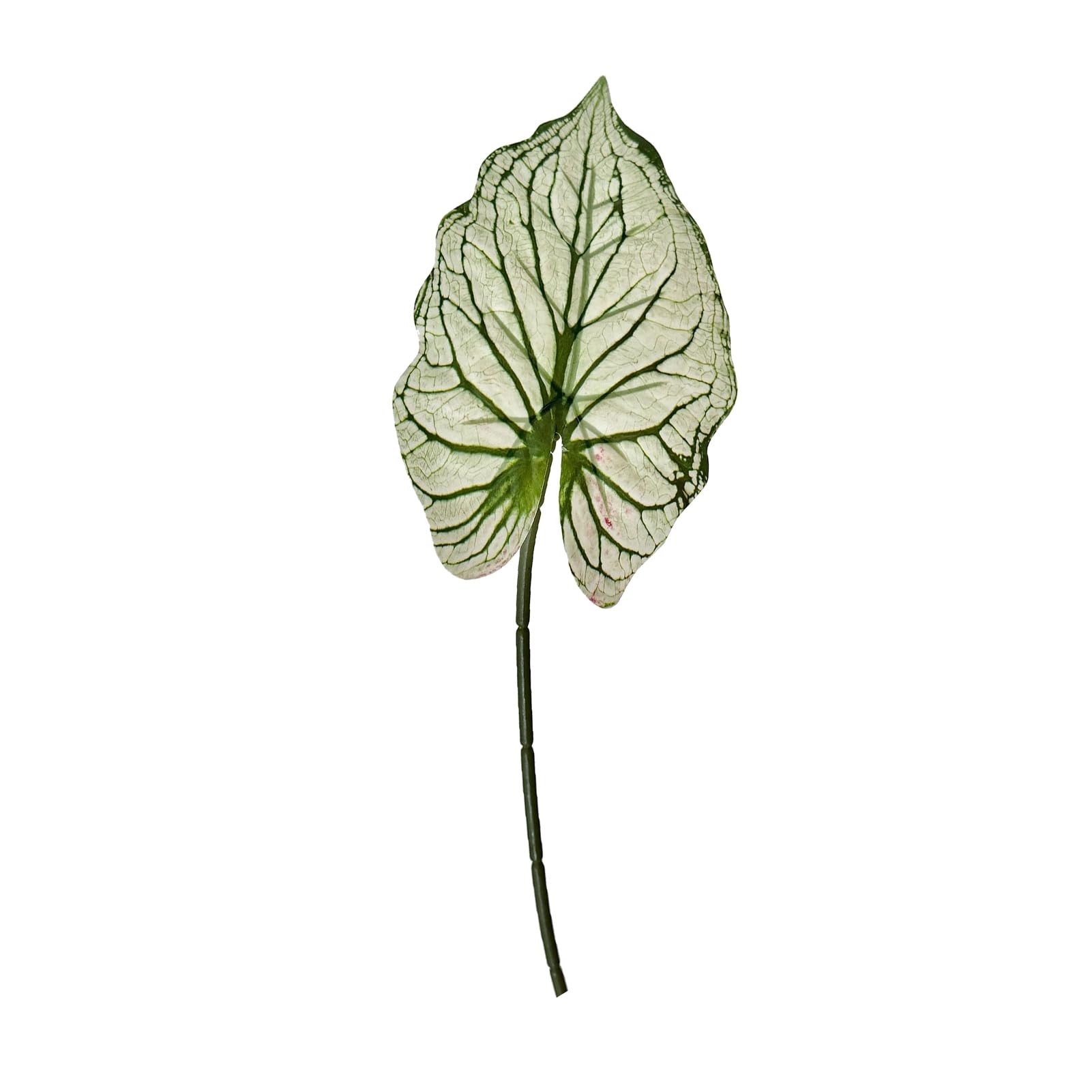 Artificial Alocasia Leaf, Faux Silk 68cm Tropical Fake Leaf Stem Realistic Texture Flexible Decorative Artificial Greenery For DIY Crafts Wedding Centrepiece Home Vase Flower Arrangement Decor D