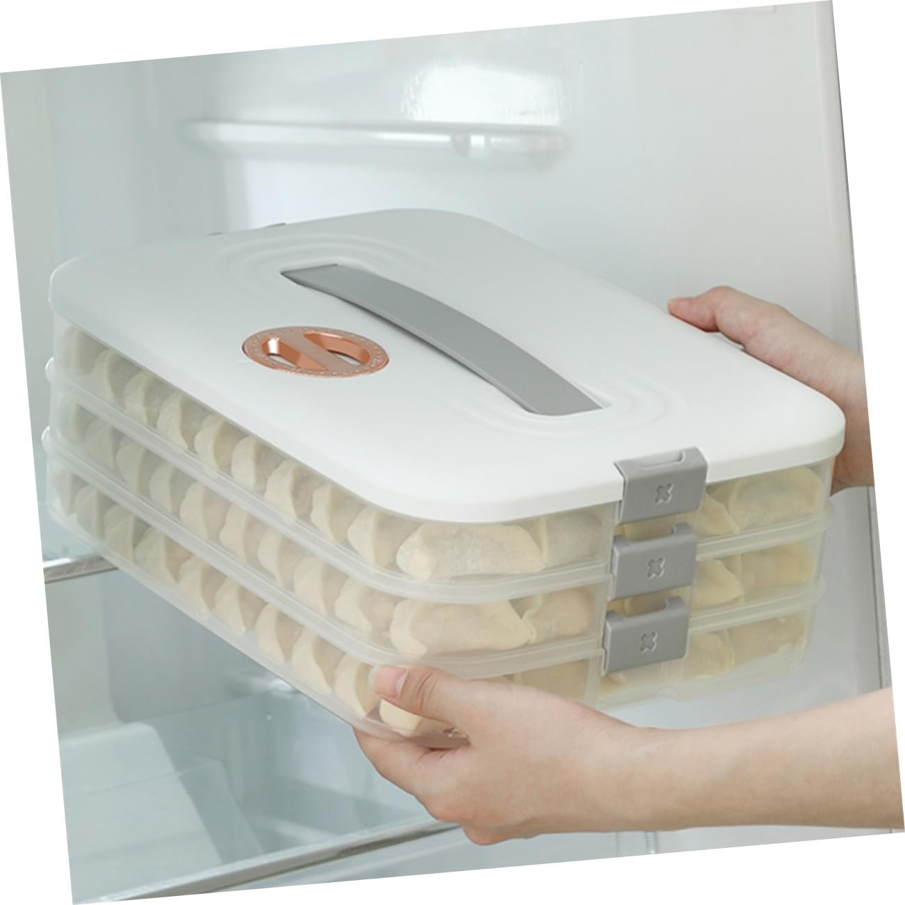 Mobestech Boîte de Rangement Empilable pour Raviolis avec Couvercle Hermétique Boîte Alimentaire pour Réfrigérateur et Congélateur Organisateur Compact pour Maison Conserve Réutilisable