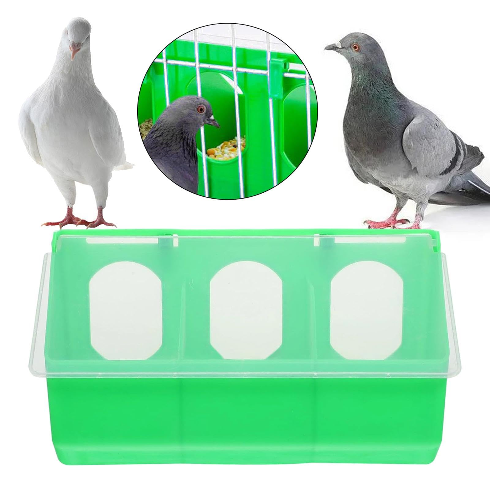 View 5