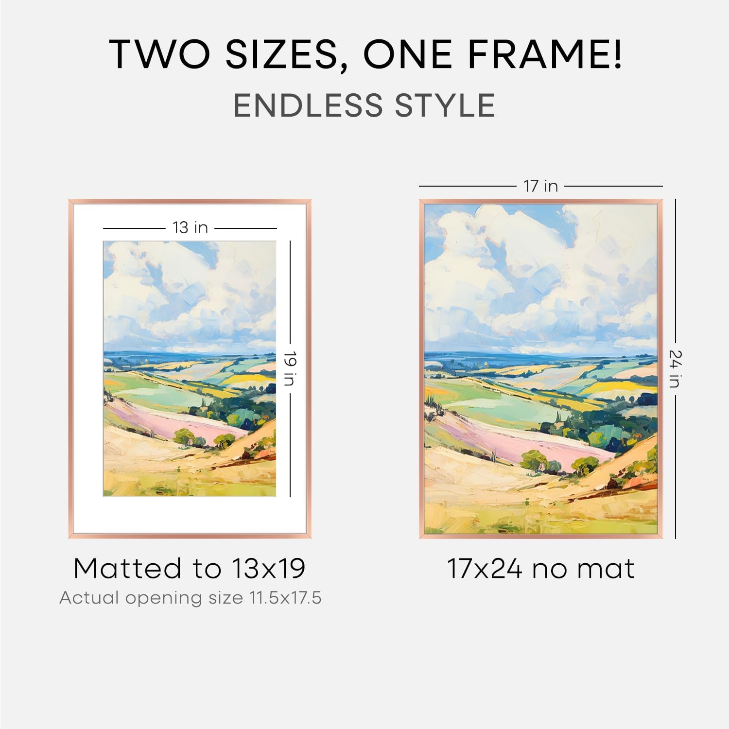 Homeforia 17x24 Picture Frame Rose Gold, High End Metal 17x24 Poster Frames with Mat 13x19 Photo, 17 x 24 Rose Gold Frame Matted to 13 by 19 Print, 24x17 Thin Frame, Tempered Glass, Wall Kit, Set of 1