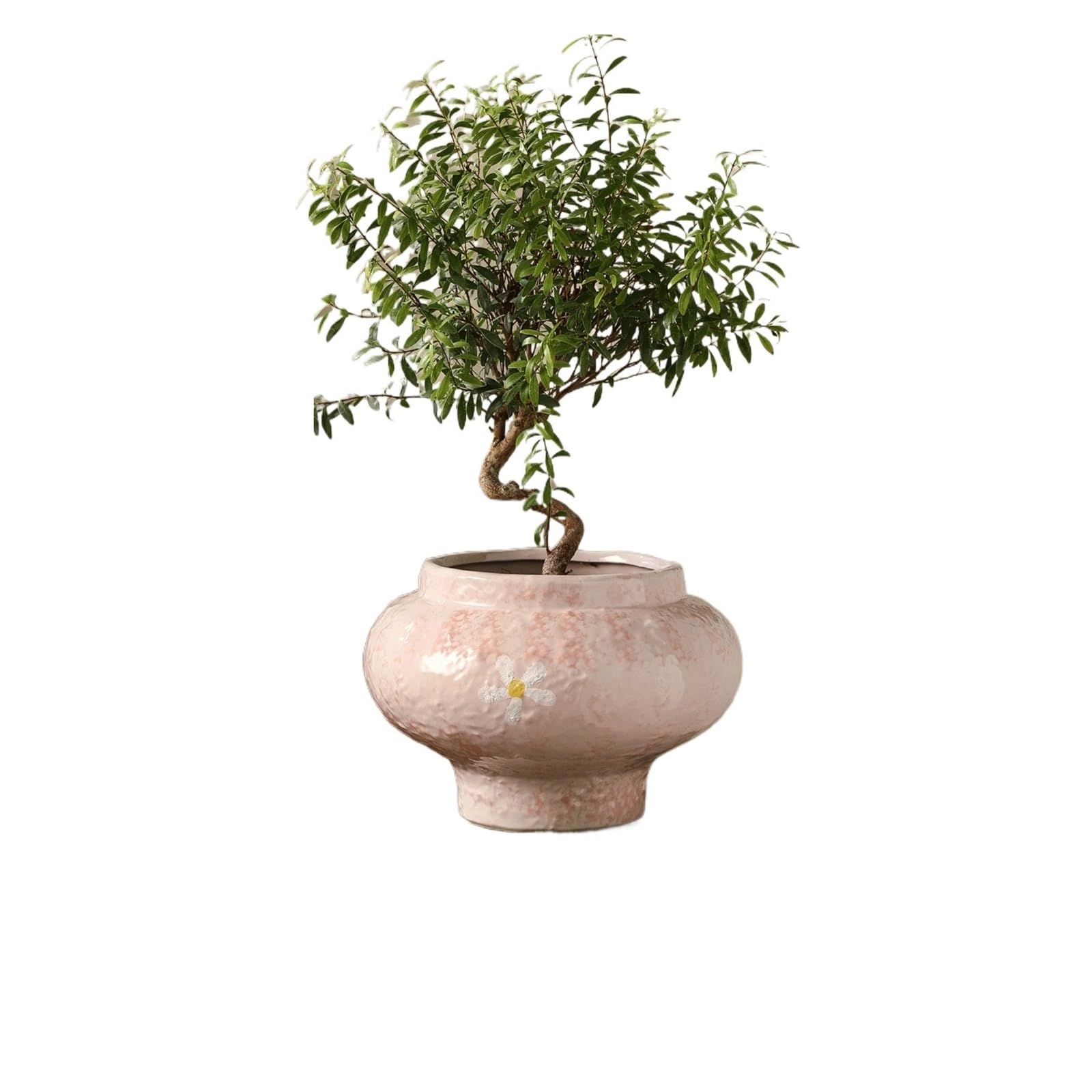 xN4gU9jf3c Plants Vintage Ceramic Plant Pots, Ideal For Home Use, And Particularly Suitable For Growing Phalaenopsis Orchids Indoor and outdoor(Pink)