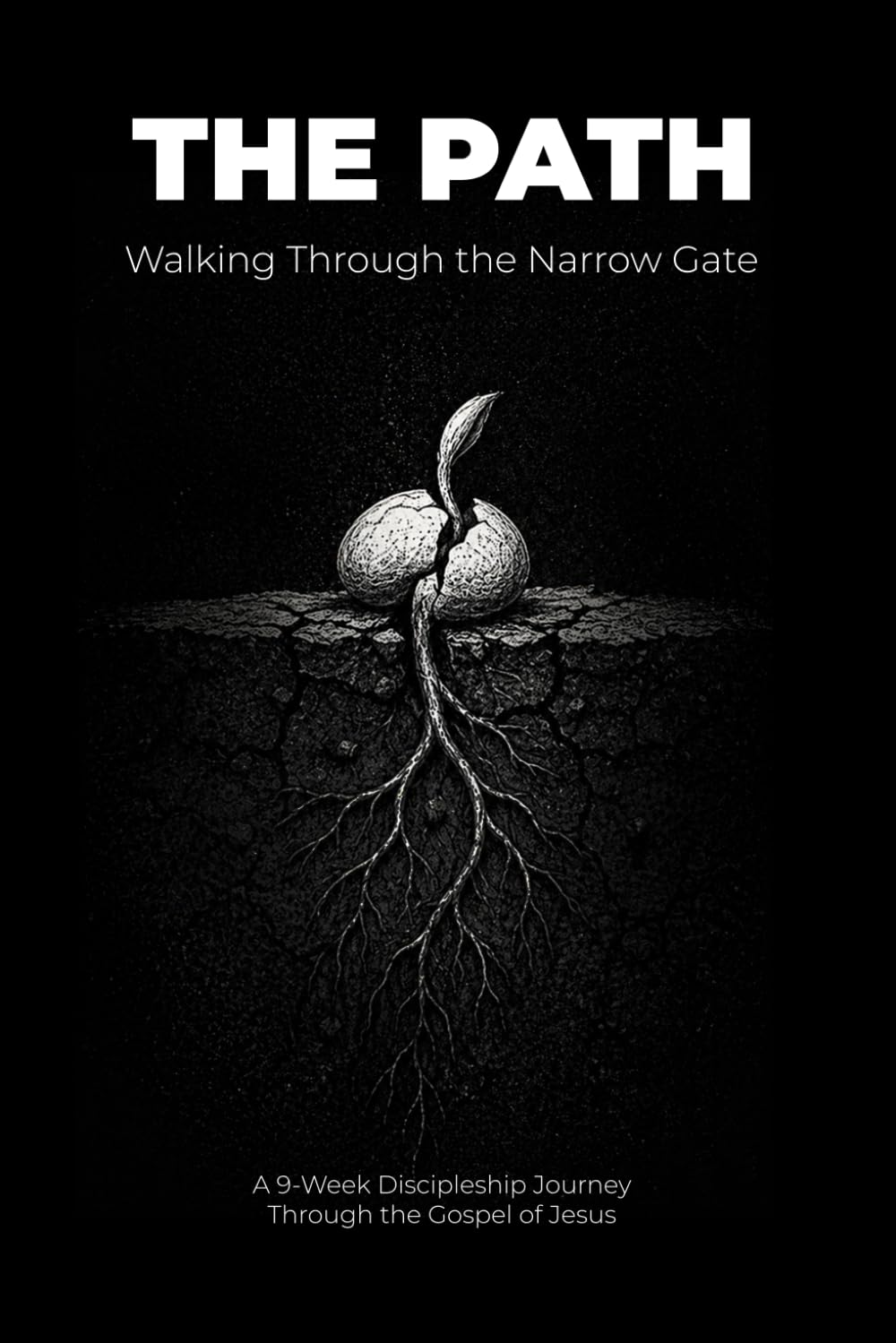 The Path: Walking Through the Narrow Gate: 1 (The Discipleship Journey)