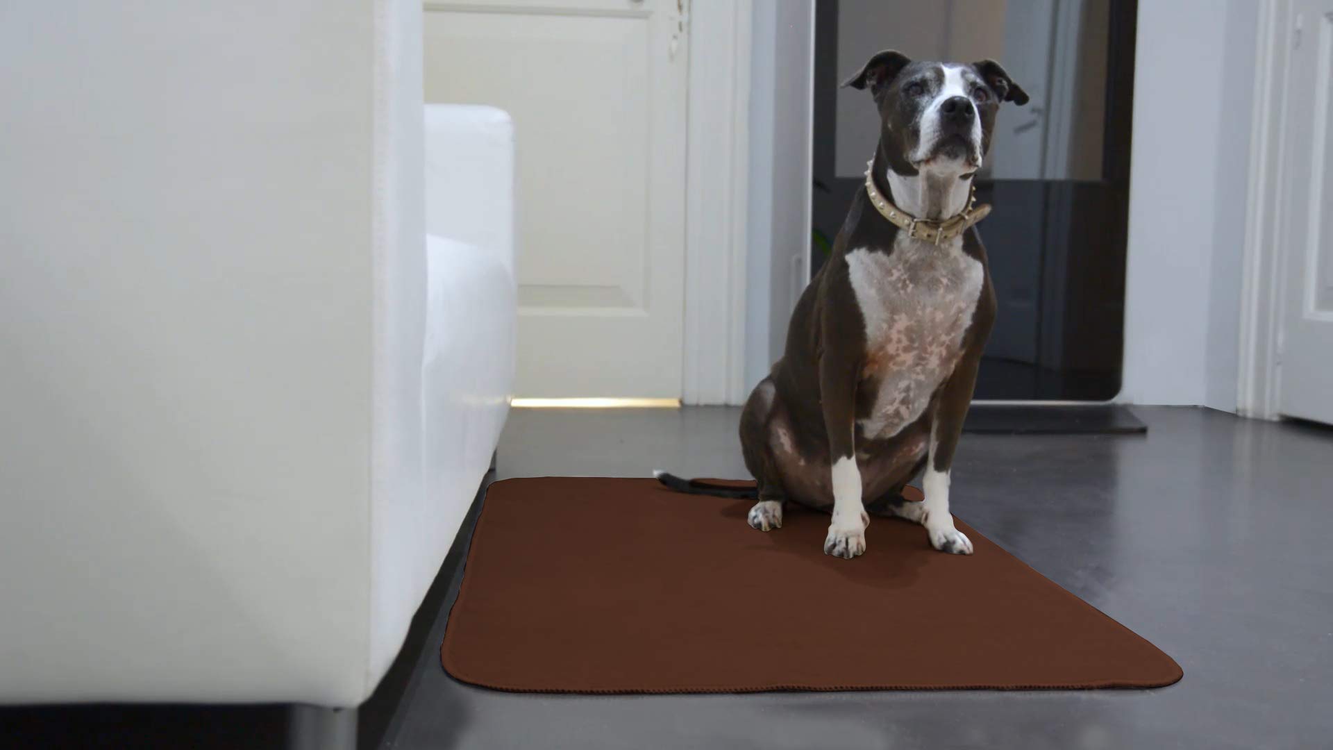 GEMITEX Merino Animal/Pet Rug 75 x 120 cm Brown Ultra-Absorbent, Polyester, 75X120
