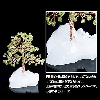 木製 自然な形状の置物　木の化石　希少　小物入れ　クラスター　パワーストーン Amazon.co.jp: 招財樹 金のなる木【橄欖石 ペリドット】 水晶