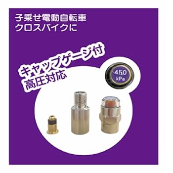 Amazon | パナレーサー(Panaracer) 用品 高圧対応エアチェック