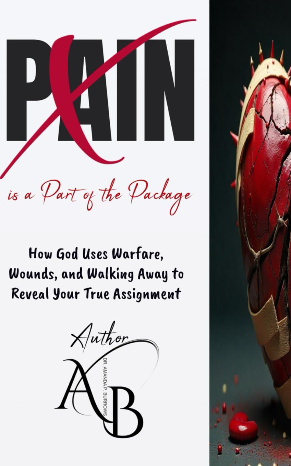 Pain is A Part of the Package: How God uses Warfare, Wounds and Walking Away to Reveal your True Assignment