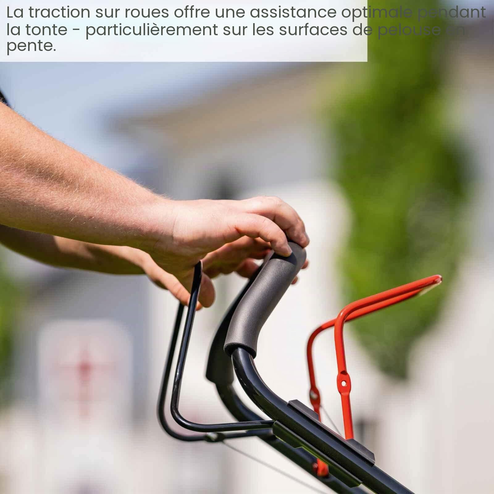 Scheppach Tondeuse à Gazon à Essence MS230-53 – Moteur 4 Temps 6 CV 4400 W – Largeur de Coupe 53 cm – Jardins de 1800 m² – Hauteur de Coupe réglable – Bac de 65 l – Fonction Mulching – Huile Incluse