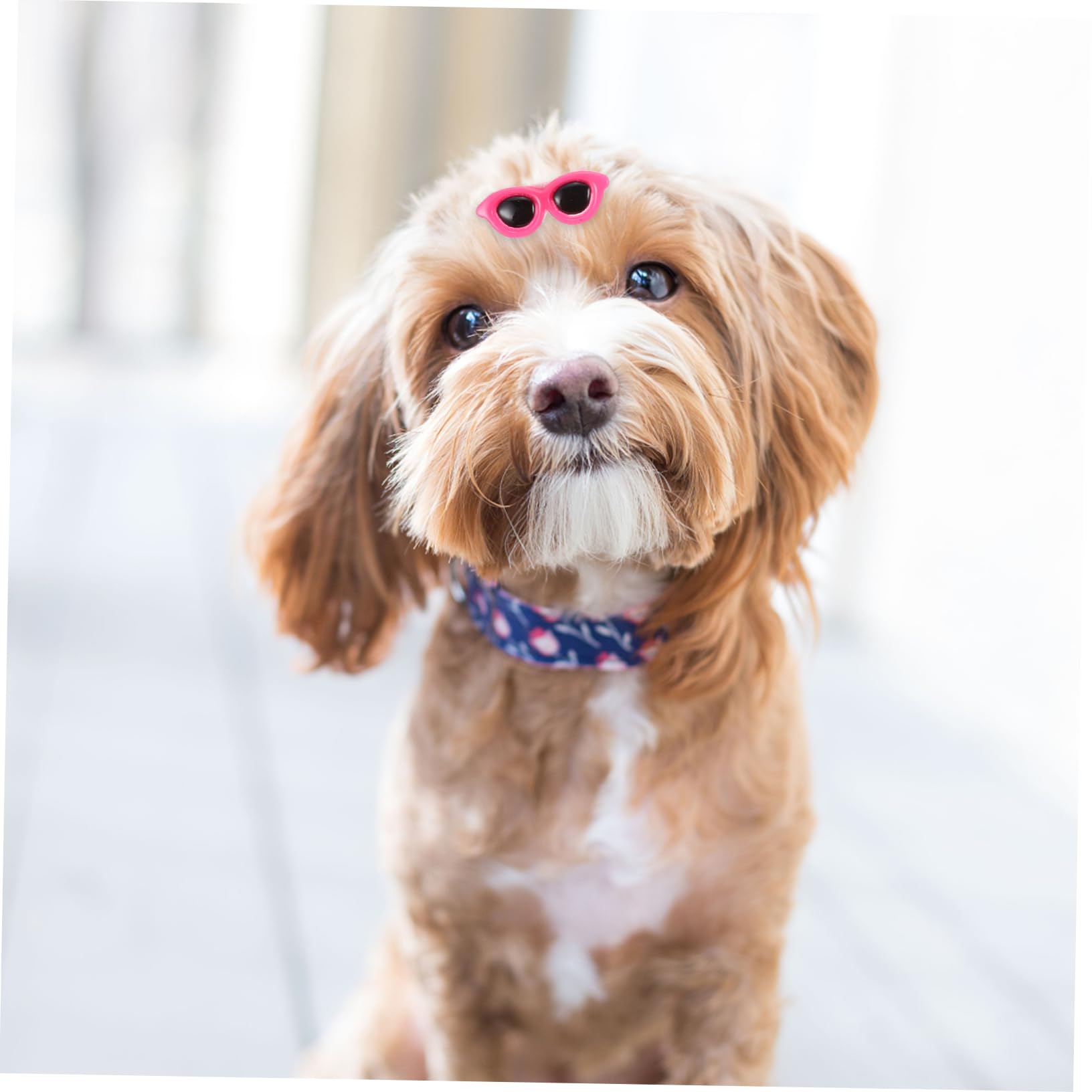HEMOTON 10Pcs Pet Sunglasses Shape Hairpins for Dogs Mixed Color Dog Hair Clips Unique and Adorable Pet Hair Accessories for Parties and Holidays Creative Design for Enhanced
