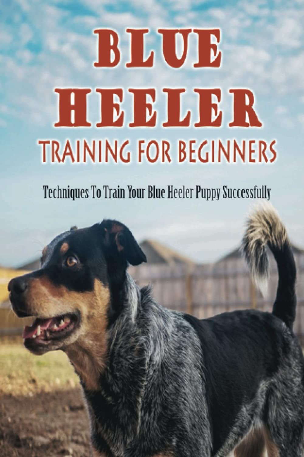 Buy Blue Heeler Training For Beginners Techniques To Train Your Blue