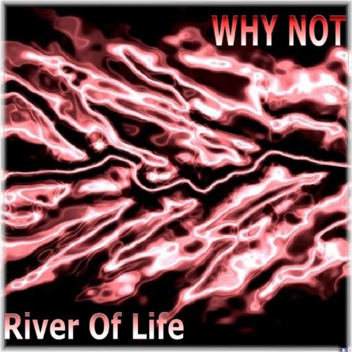Play River of Life by Why Not on Amazon Music
