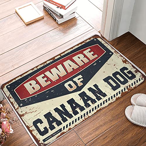 Paillasson chien Canaan antidérapant et tapis de porte extérieur 50x80 cm