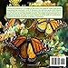 Storia di un Monarca: Un'avventura a Monte Marigold (Italian Edition)