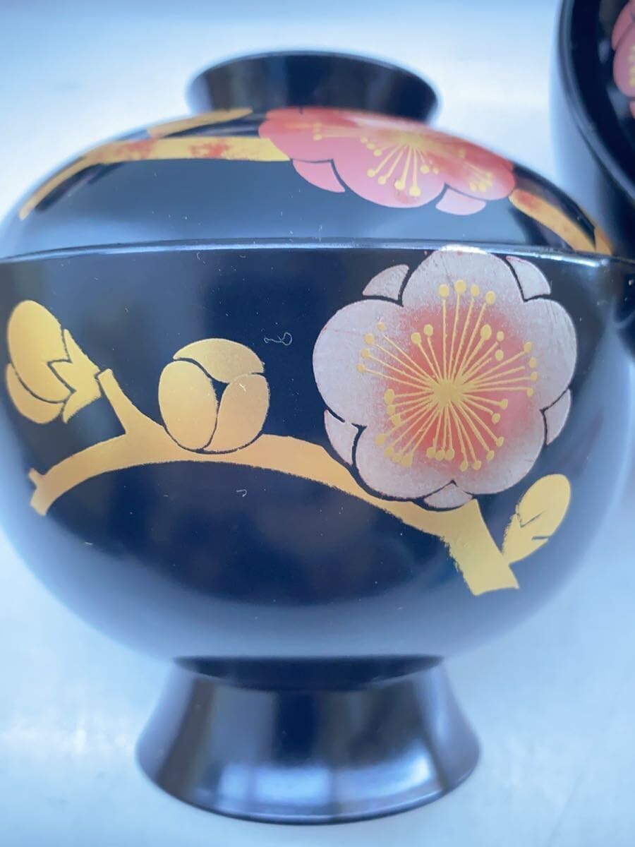 Amazon.co.jp: 輪島塗 輪島漆器 和食器 その他 5点セット BLK : おもちゃ