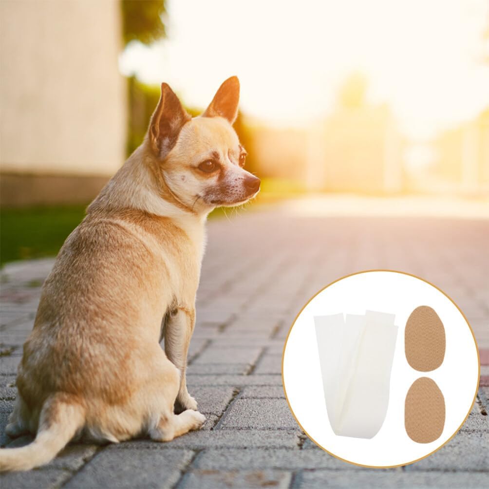 Toddmomy 2ペア 犬の耳スタンドステッカーアップサポートツール 子犬の耳スタンドステッカーホルダー ドーベルマン犬の耳ポスト