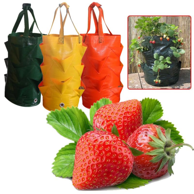 Sac de culture de fraises gain de place pour petit balcon et cour