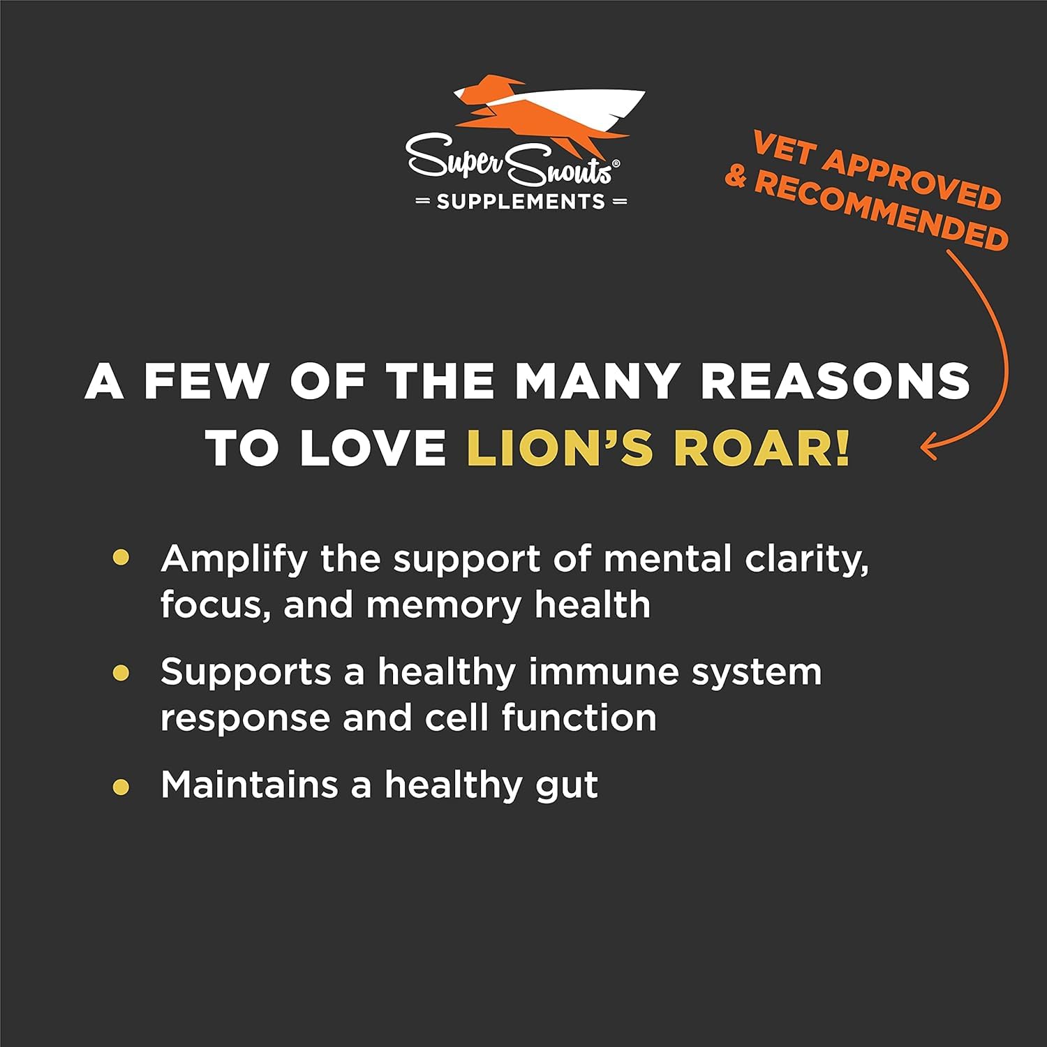 Super Snouts Lion's Roar, probiotiques pour chiens, aide système immunitaire et digestion, pot 75 gr