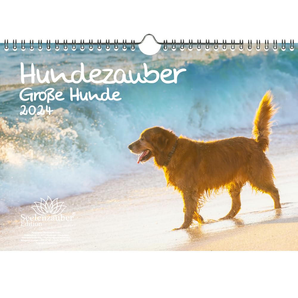 Dog Magic Large Dogs DIN A4 Calendar for 2024 Puppies and Dogs Seelenzauber
