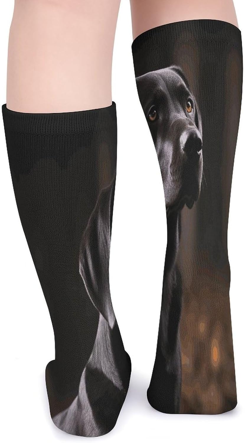 Black Labrador Crew Socks Soft Thermal Socks | Socks for Men Women-Casual Wicking,High Stocking for Sports Running-Long Thin Tube Sports Breathable