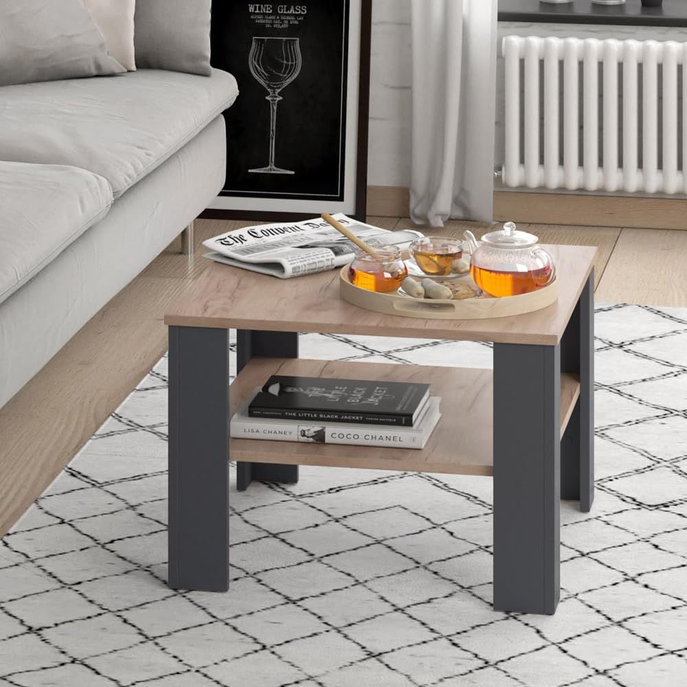 Vicco Tavolino da salotto Homer, Antracite, 60 x 60 cm, per la conservazione di riviste e telecomandi