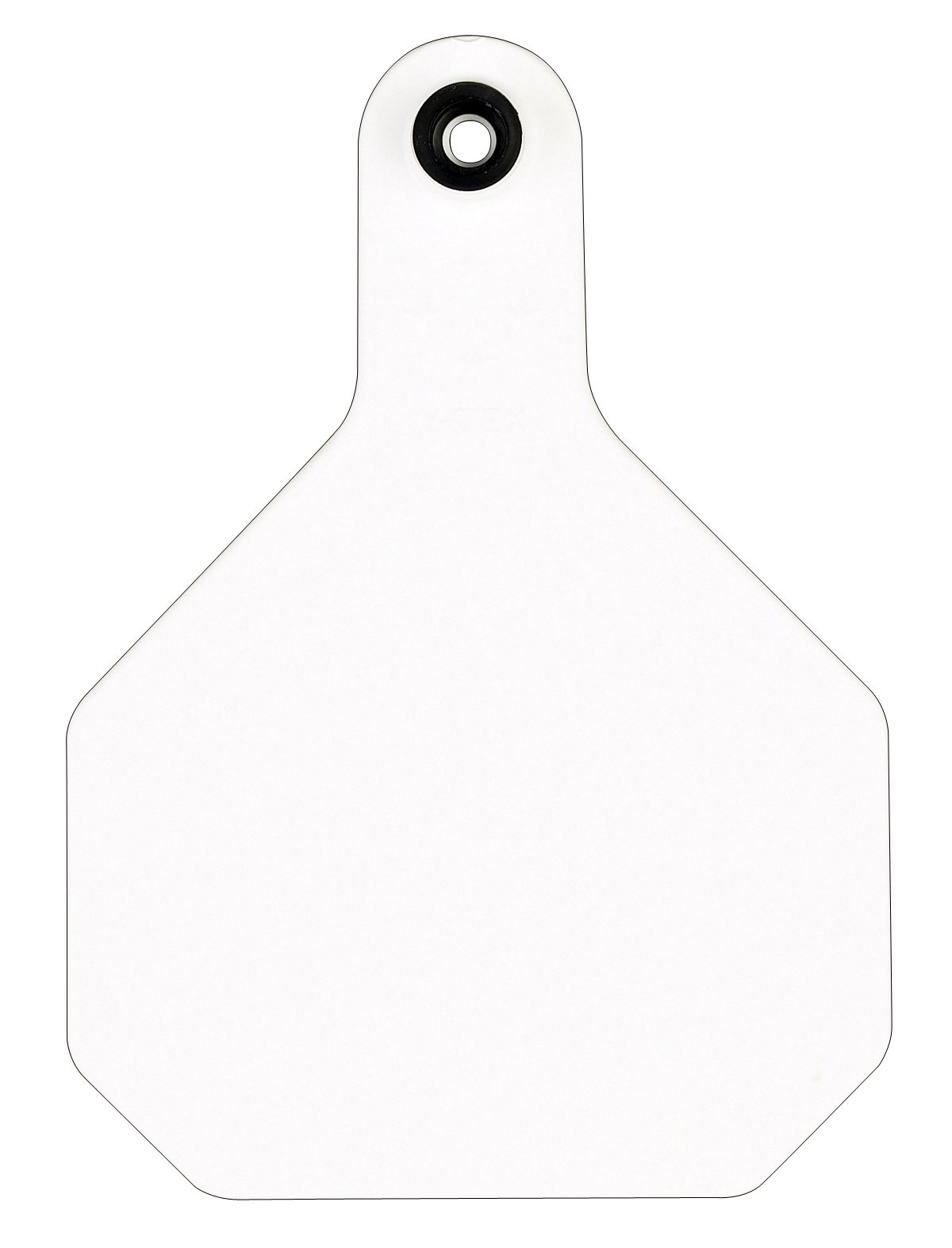 Y-TEX Grande Blanc Blank Tag étiquette bétail plastique pour identification bâche vache