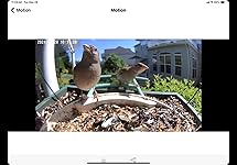 Review Image by Out and about.