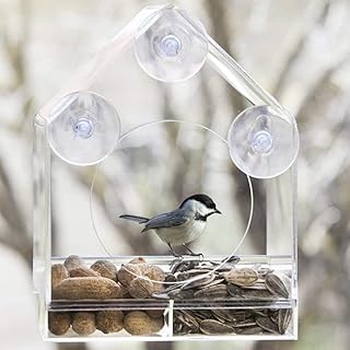 Donkivvy Acrylic Window Bird Feeder, Sturdy and Durable Window Bird Feeder with Strong Suction Cups, Drainage Holes, Detachable Seed Tray, Outdoor Bird Feeders for Small Birds, Wild Birds