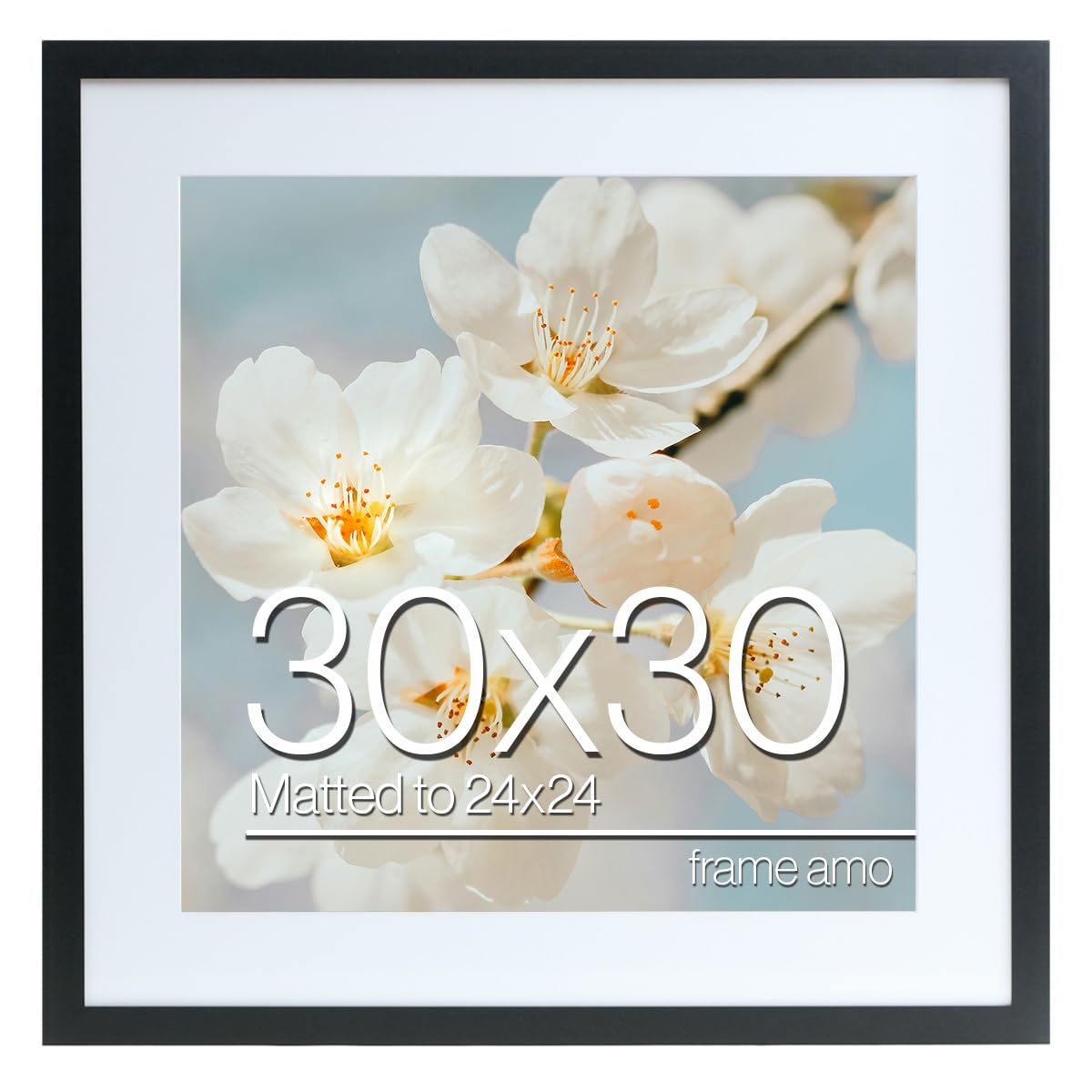 amoページ Amazon.com - Frame Amo 30x30 Black Poster Frame with 23.5x23.5