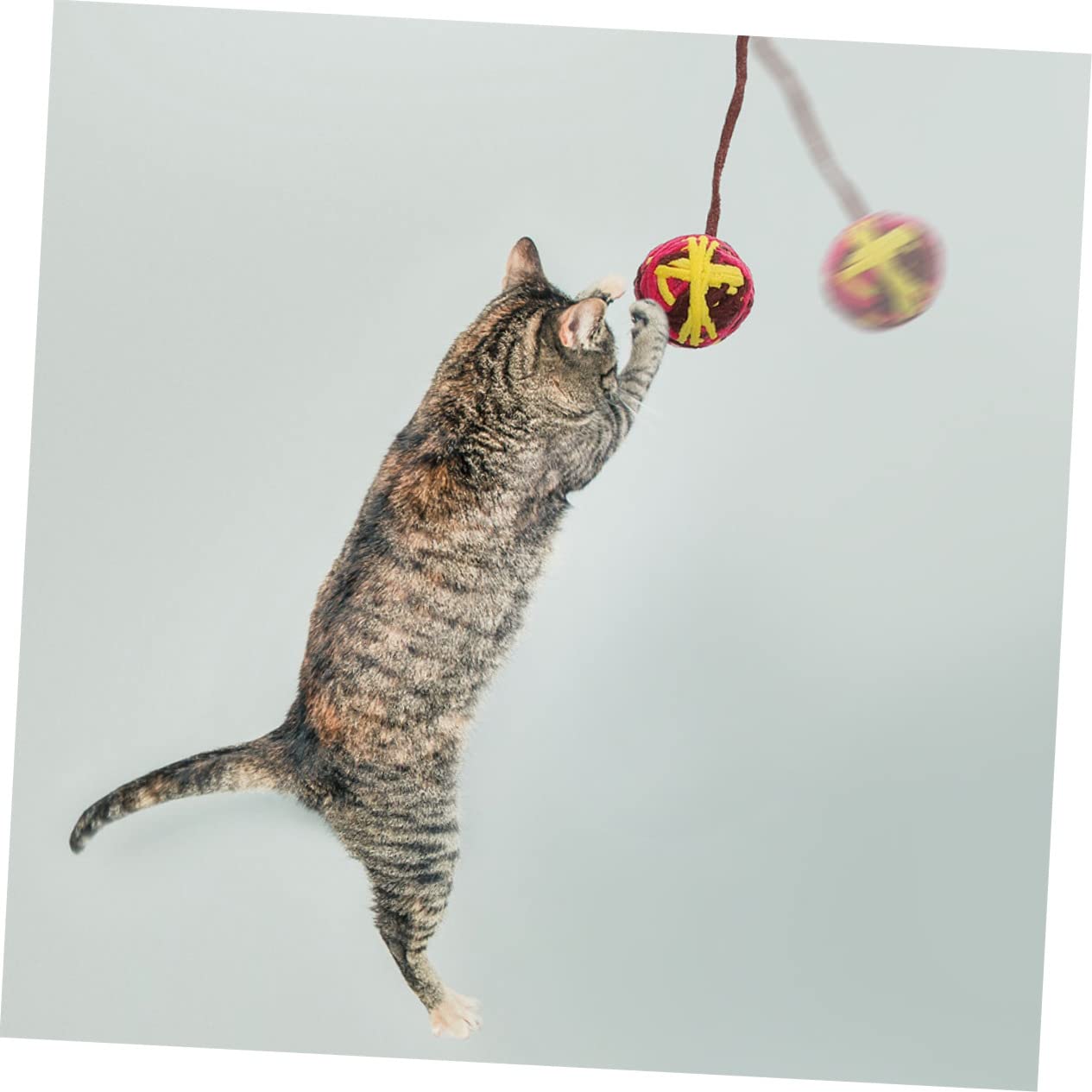 VANZACK 25stücke Katzenbälle Mit Interaktive Spielzeuge Für Katzen Lustige Kratzspielzeuge Beschäftigung Von Kätzchen Gemischte Designs