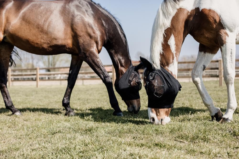 Fly mask slim fit cob nero