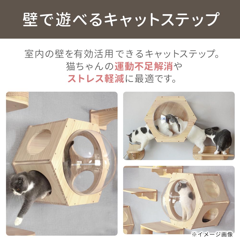 Amazon.co.jp: Bonarca キャットステップ 壁 透明 クリア 猫 宇宙船