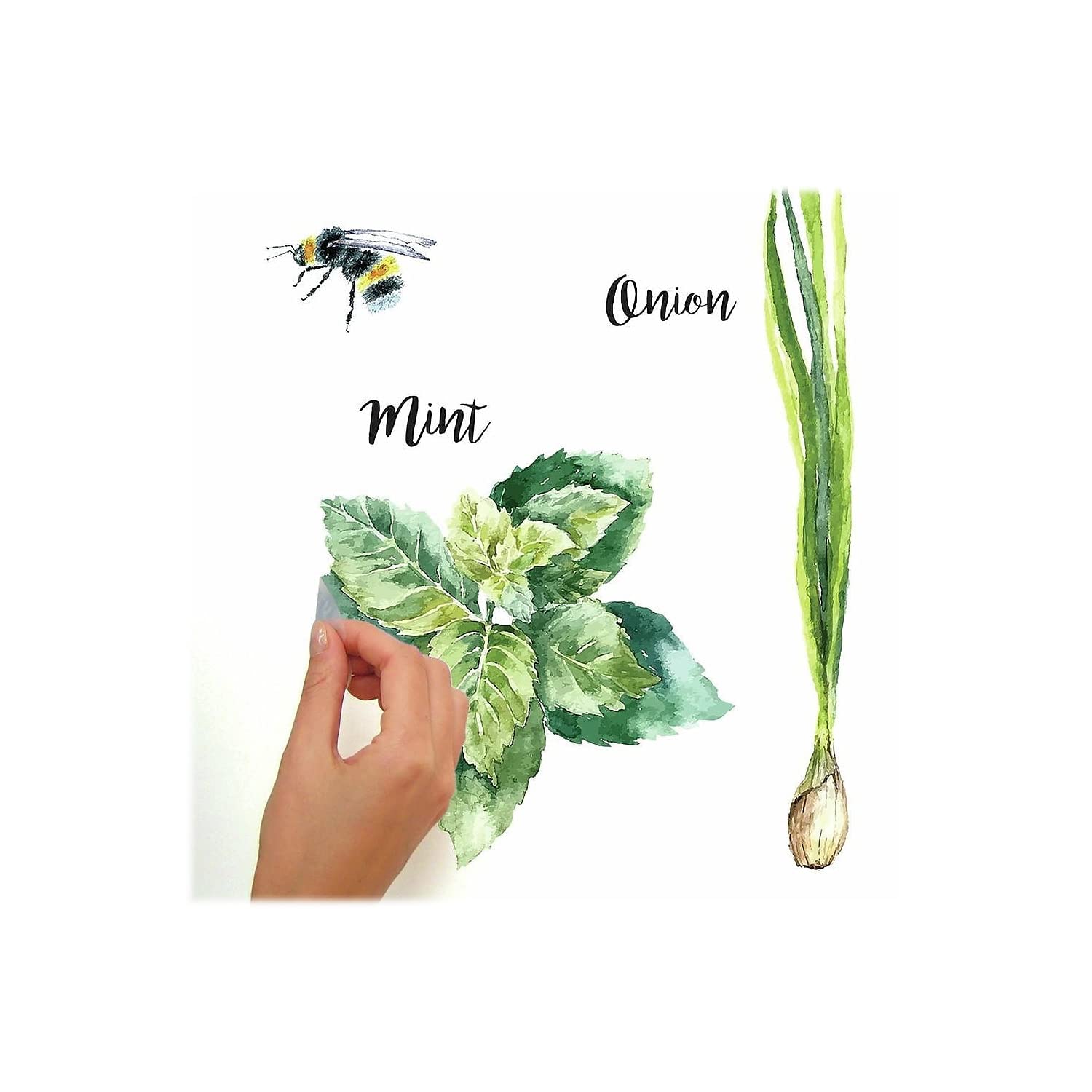 RoomMates Watercolor Herb Peel and Stick Wall Decals,Green, Brown, Purple, 4 Sheets 9 inches x 17.375 inches - Image 2