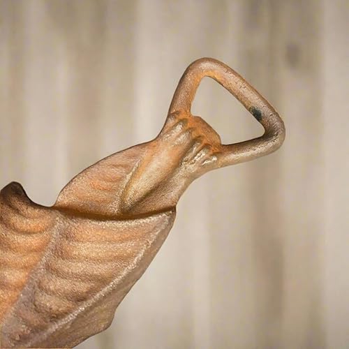 Miniatura 4 de Abridor de botellas de hierro fundido con acabado envejecido antiguo (7 x 2 pulgadas)