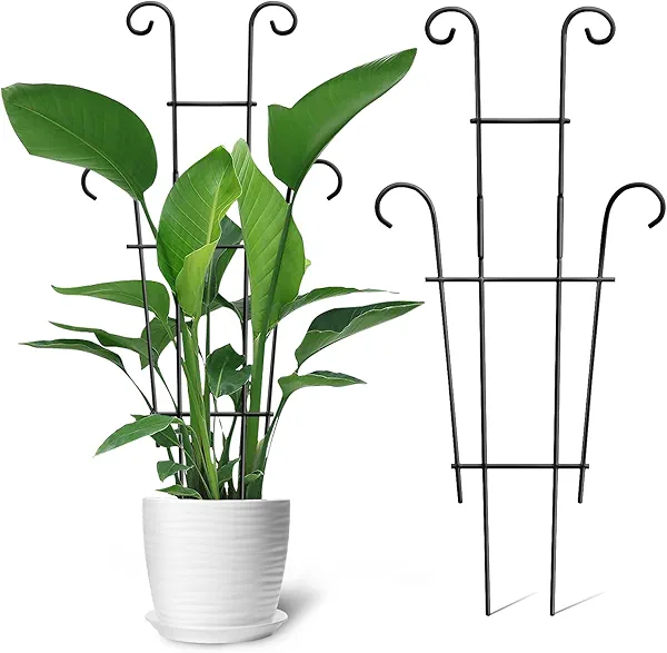 Coomin 23in Taller Plant Trellis for Climbing Plants Indoor, Sturdy Houseplant Trellis for Potted Plants with Ties, Vine Plant Support for Monstera Pothos Ivy, Plant Decor, 2P